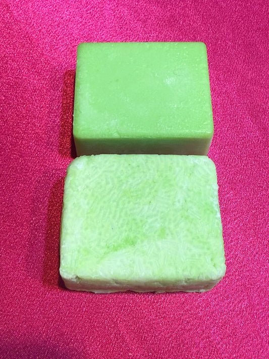 Shampoo & Conditioner Bars